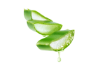 Šampony s aloe vera